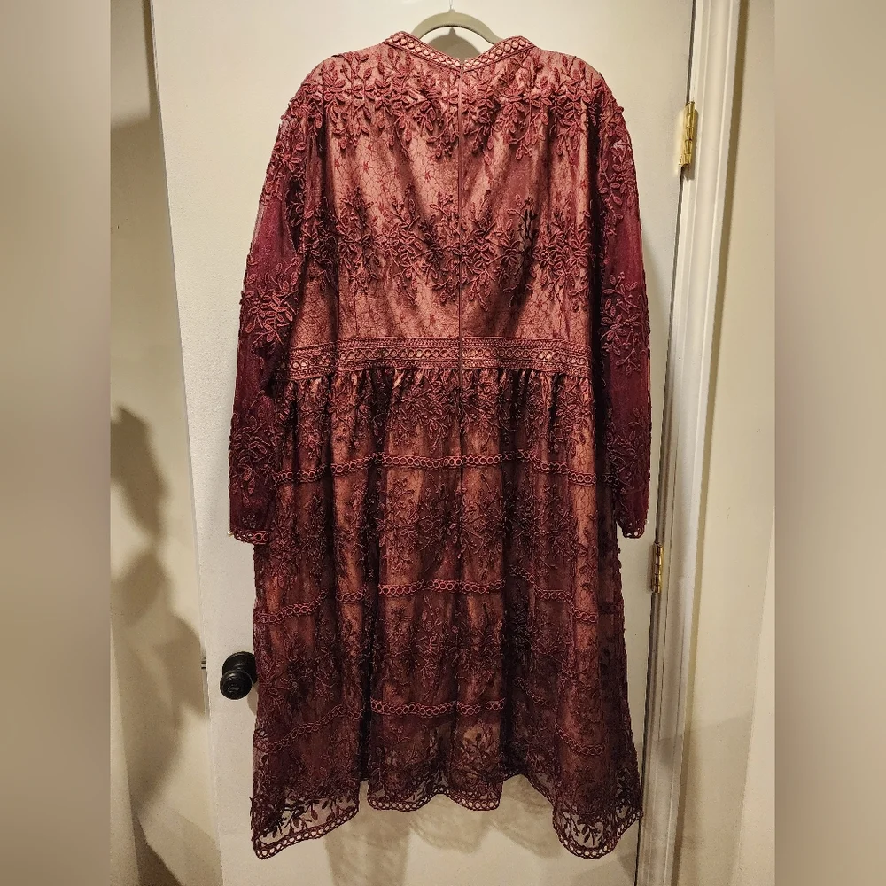 Elegant Wine Lace Dress - Picture 4 of 6